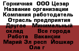 Горничная. ООО Цезар › Название организации ­ Компания-работодатель › Отрасль предприятия ­ Другое › Минимальный оклад ­ 1 - Все города Работа » Вакансии   . Марий Эл респ.,Йошкар-Ола г.